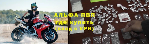 ГАЛЛЮЦИНОГЕННЫЕ ГРИБЫ Вязьма