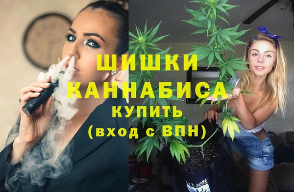 ГАЛЛЮЦИНОГЕННЫЕ ГРИБЫ Вязьма