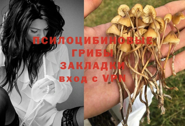 дурь Вяземский