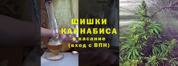 дурь Вяземский