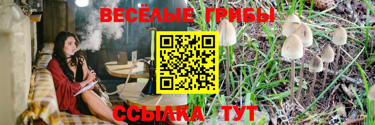 Псилоцибиновые грибы Magic Shrooms  Вход с VPN  Кызыл 